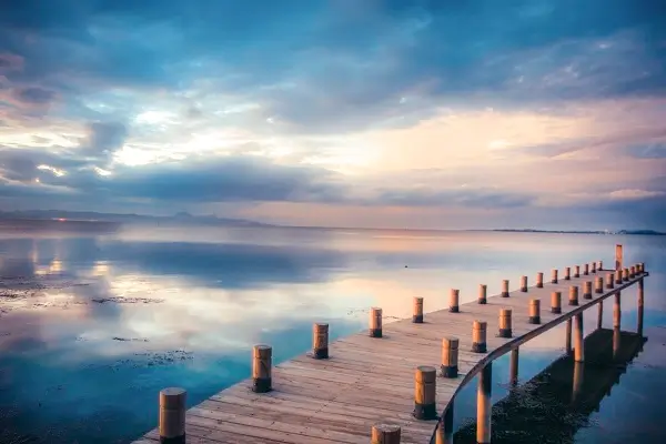 办公室电脑软件有什么